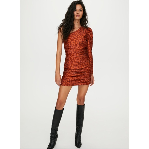 Aritzia‎ Wilfred Rhapsody One Puff Sleeve Animal Print Ruched Mini Dress size 2 - Picture 2 of 16